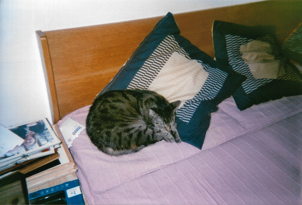 Prague 09 (1024x697)